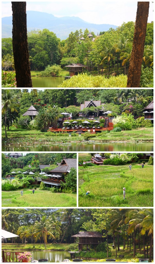 FS Chiang Mai - The Views