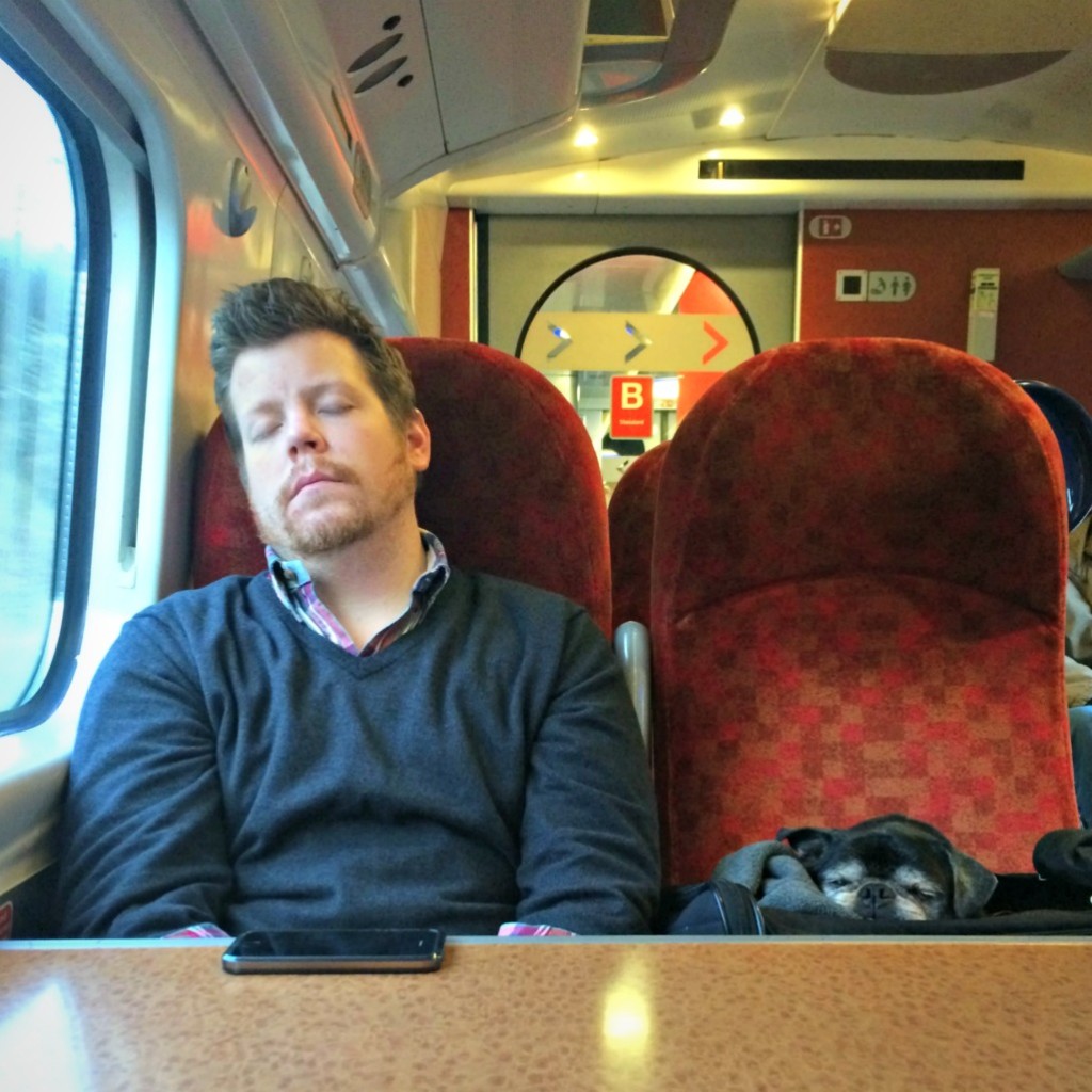 nap buddies on the train to glasgow
