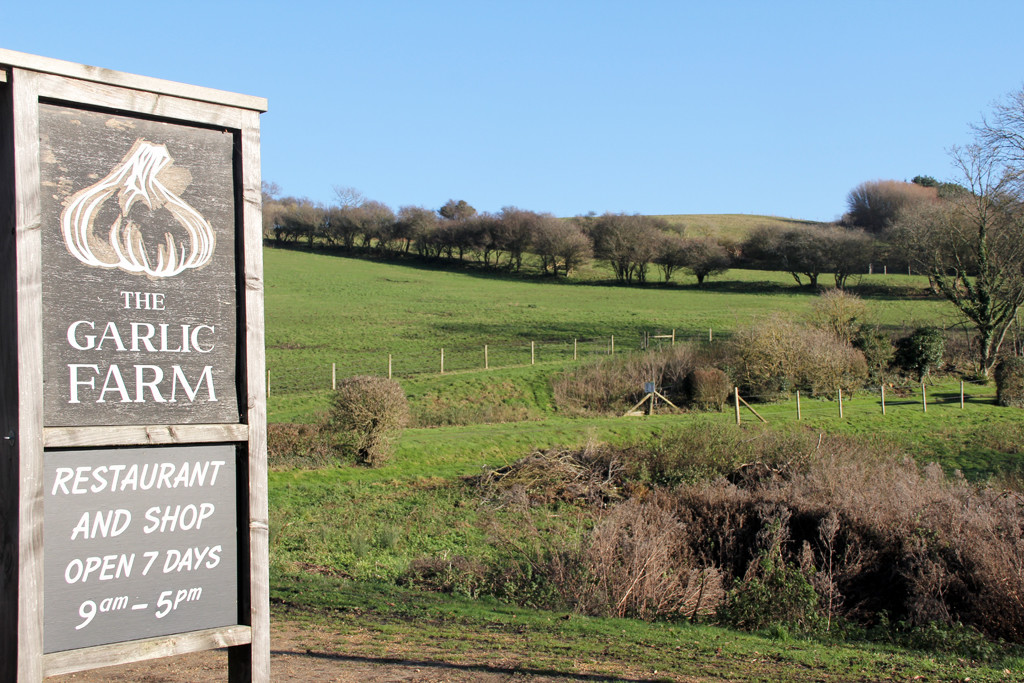Isle of Wight - The Garlic Farm