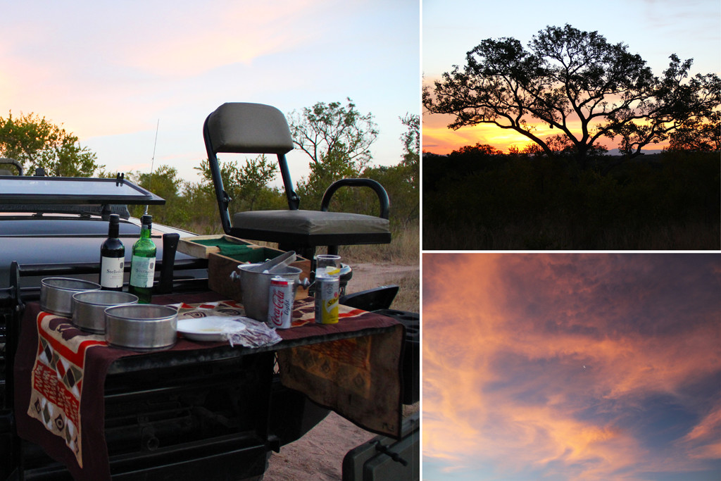 sunset happy hour in the bush - sabi sabi